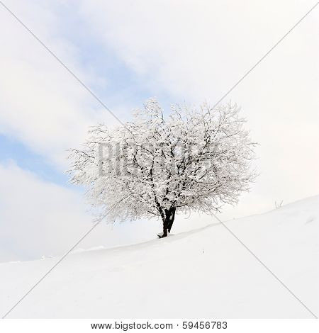 beautiful winter landscape in Sirnea, Romania