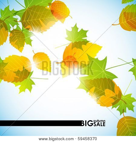 autumn background