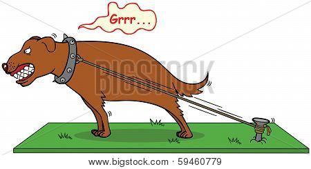 Barking Dog Never Bite