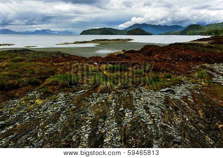 Pacific low tide in Alaska