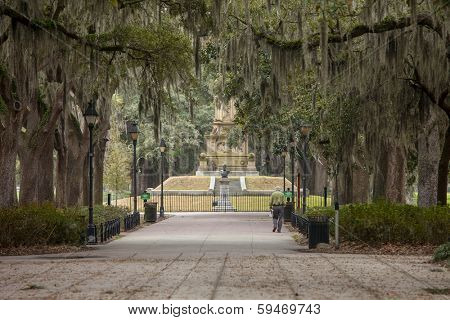 forsyth park and live oaks, savannah georgia