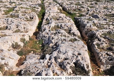 car ruts