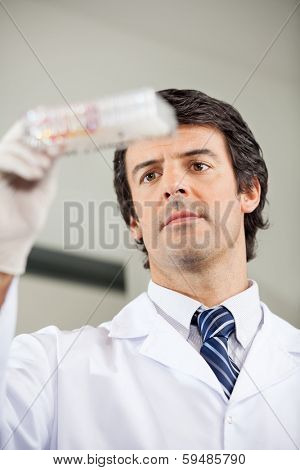 Mid adult male researcher analyzing microplate in laboratory