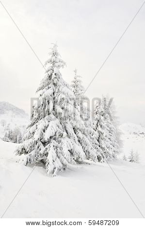 beautiful winter landscape in Sirnea, Romania