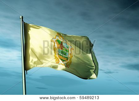 Manaus (Brazil) flag waving on the wind