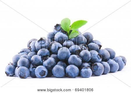 Blueberry