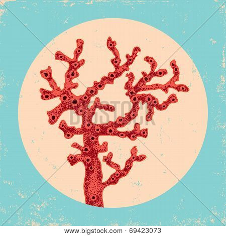 Red Coral
