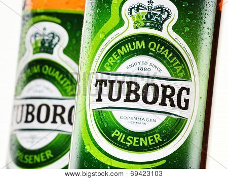 Bottles Of Tuborg Beer