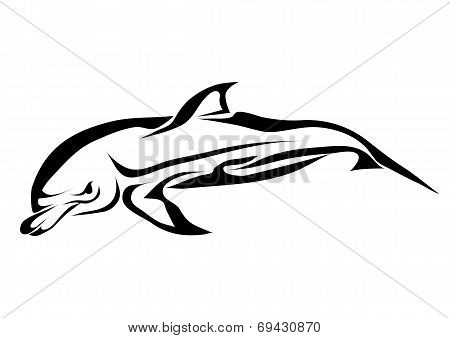 Bottlenose Dolphin
