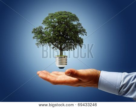Sustainable resources, renewable energy and environmental conservation concept