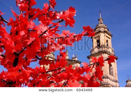 Kathedrale von Bogota, Kolumbien