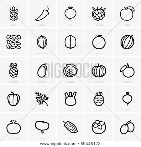 Fruits and vegetables icons