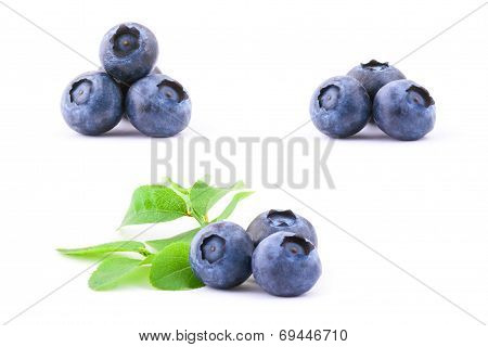 Blueberries