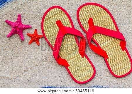 Sea Shells Flip Flops Beach Sand