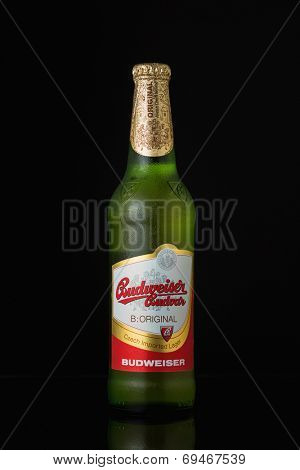 Sarajevo, Bosnia and Herzegovina - August 02, 2014: Budweiser beer bottle, on black. Budweiser is made by Budweiser Budvar in Czech Republic.