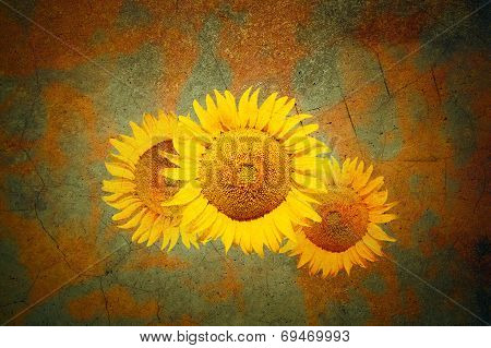 Background With Sunflowers In Grunge Style
