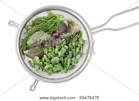 Fresh herbs with water drops in a vintage colander on a white background. Overhead view.