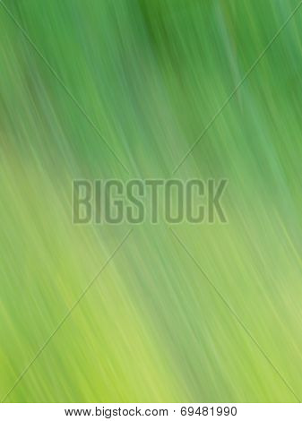 Green background