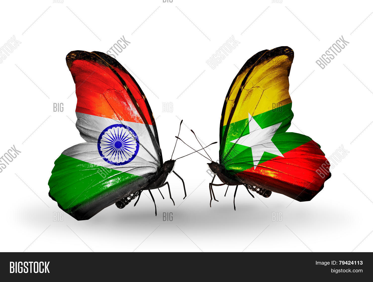 Two Butterflies Flags Image & Photo (Free Trial) Bigstock