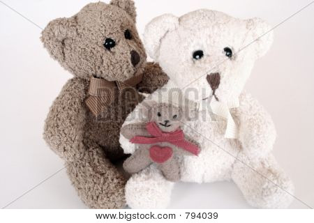 테 디 베어 가족 0002
