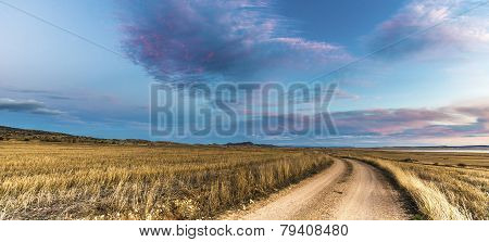 Dirt Road Near Gallocanta Lagoon In, Spain