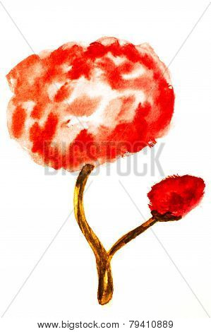 rose flower