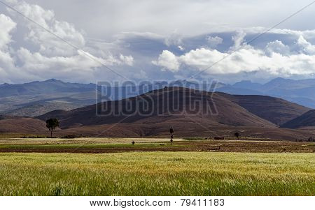 Mountains of Bolivia, altiplano