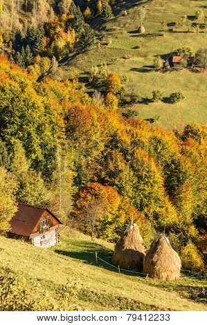 Autumn landcape in Pestera vilage