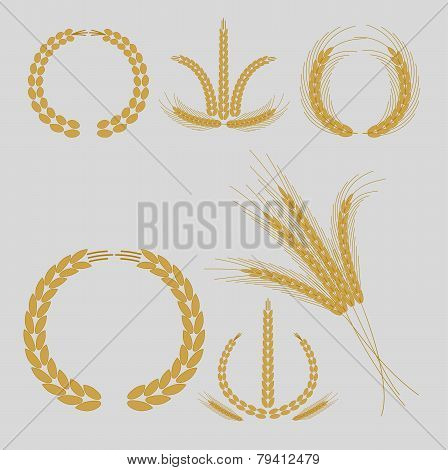 cereal grains and ears