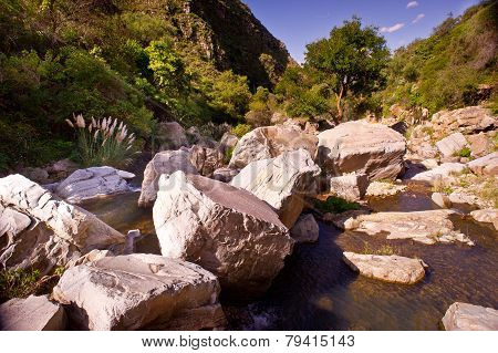 River in Bolivia