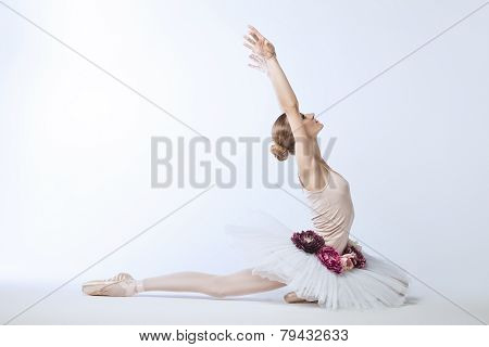 Ballet School