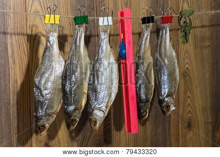Dried Roach - Vobla And Fishing Equipment With Float