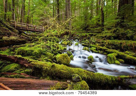 Beautiful Cascade Waterfall In Sol Duc Falls Trail