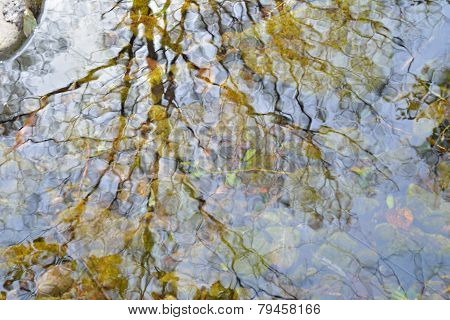 Reflection On River