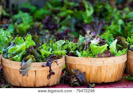baskets of fresh salad in farmer market