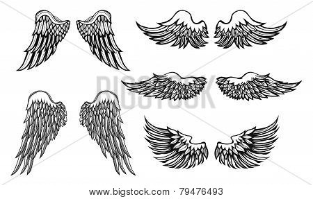 Hand-drawn Wings, vector set
