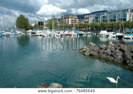 Marina In Vevey At Geneve Lake In Switzerland