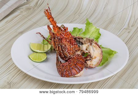 Spiny Lobster