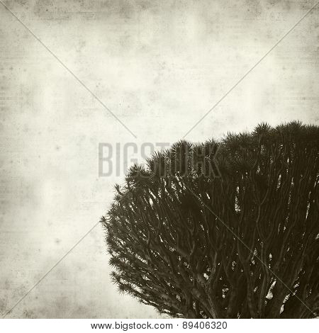 Textured Old Paper Background
