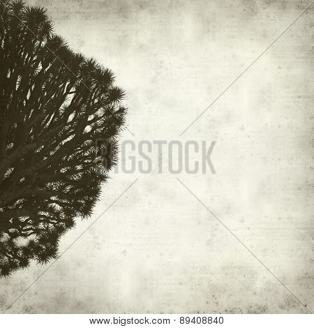 Textured Old Paper Background
