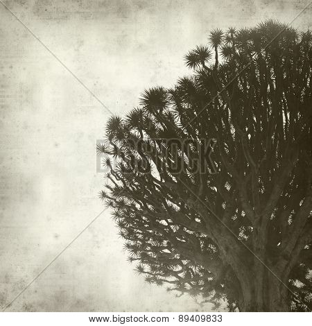 Textured Old Paper Background