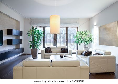 Bright Cozy Apartment