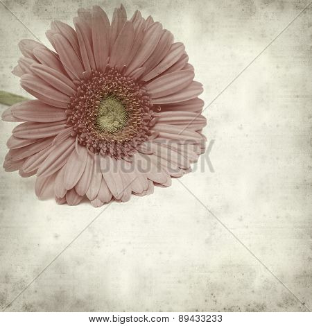 Textured Old Paper Background