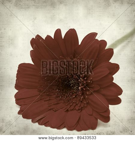 Textured Old Paper Background