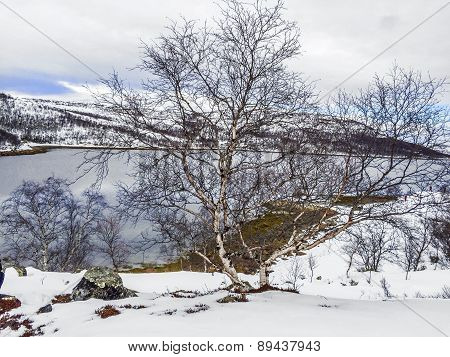 Landscape In Norway Under Snow