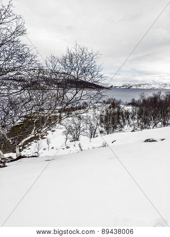 Landscape In Norway Under Snow