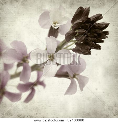 Textured Old Paper Background