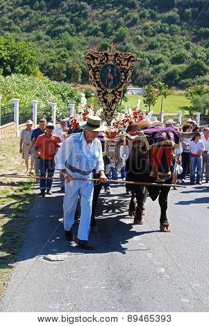 Bull cart procession, Marbella.