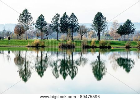 trees reflecting in the lake, symbol of nature, idyllic, contemplation