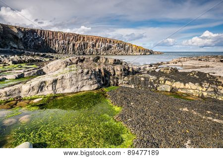 Low Tide At Cullernose Point